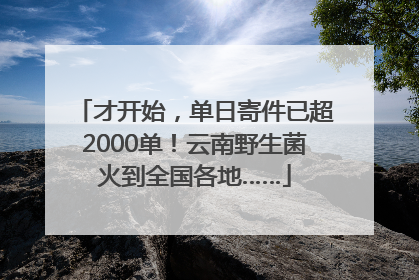 才开始，单日寄件已超2000单！云南野生菌火到全国各地……